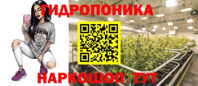 2c-b Гусев