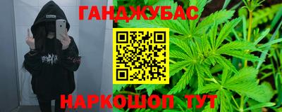 индика Гусиноозёрск