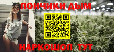 индика Гусиноозёрск