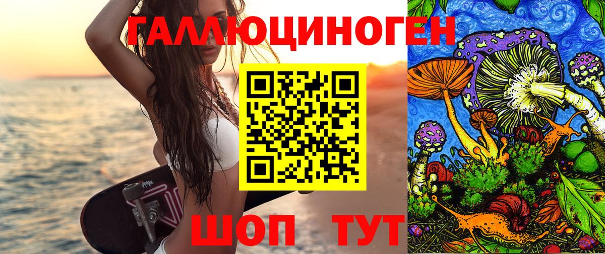 Псилоцибиновые грибы GOLDEN TEACHER  Галлюциногенные грибы мицелий  Дубна  Вход с VPN 